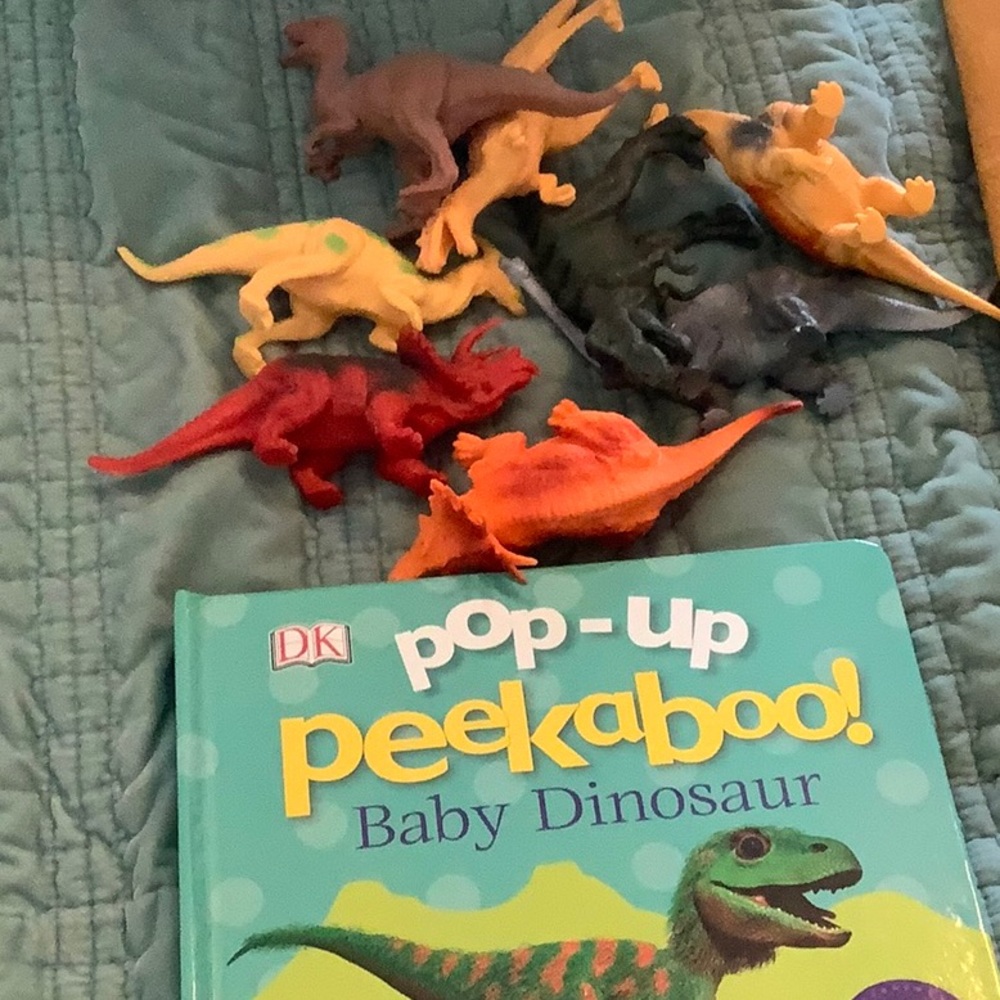 Pop-Up Peekaboo! Baby Dinosaur Book with Dinosaur Toys